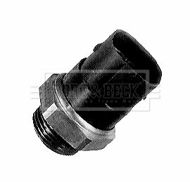 Temperature Switch, radiator fan (BTS923.90)