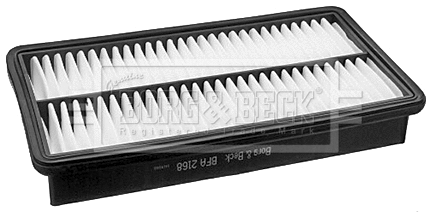 Air Filter (BFA2168)