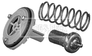 Thermostat, coolant (BBT332)