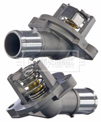 Thermostat, coolant (BBT502)