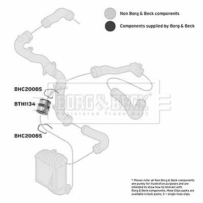 Charge Air Hose (BTH1134)