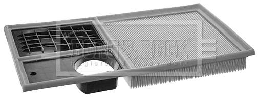 Air Filter (BFA2085)