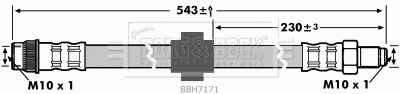 Brake Hose (BBH7171)