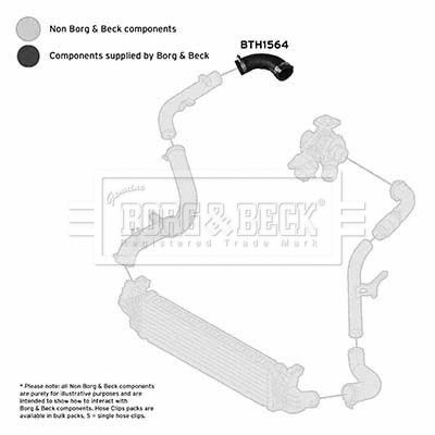Charge Air Hose (BTH1564)