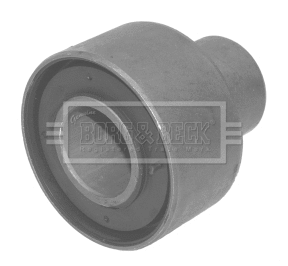 Bushing, axle beam (BSK6624)