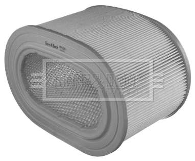 Air Filter (BFA2206)