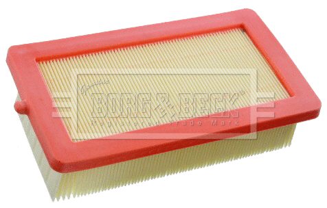 Air Filter (BFA2550)