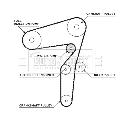 Water Pump & Timing Belt Kit (BTW1081)