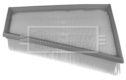Air Filter (BFA2234)