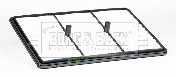 Air Filter (BFA2641)