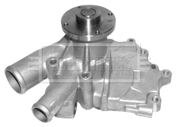 Water Pump, engine cooling (BWP1795)