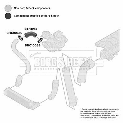 Charge Air Hose (BTH1194)