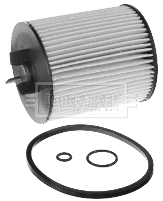 Fuel Filter (BFF8207)