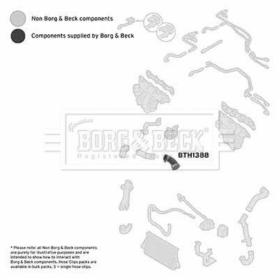 Charge Air Hose (BTH1388)