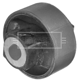 Mounting, control/trailing arm (BSK7999)