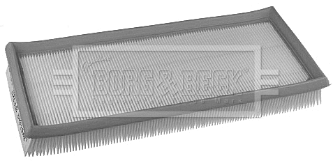 Air Filter (BFA2317)