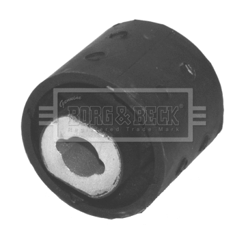 Mounting, control/trailing arm (BSK6609)