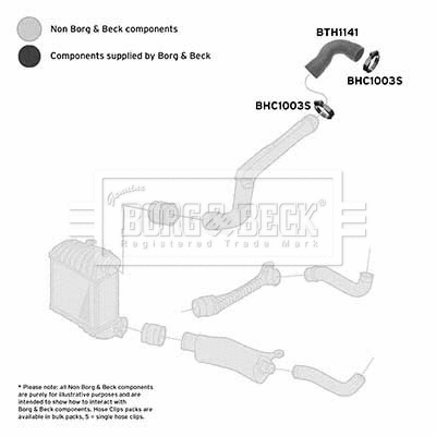 Charge Air Hose (BTH1141)
