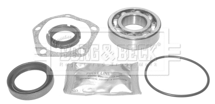 Wheel Bearing Kit (BWK036)