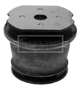 Bushing, axle bracket (BSM2029)