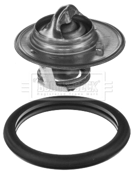 Thermostat, coolant (BBT050)