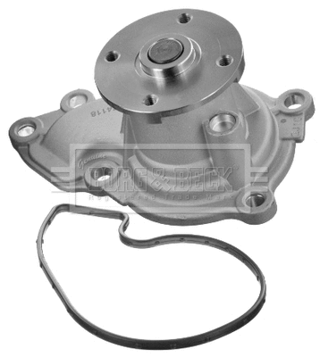 Water Pump, engine cooling (BWP2389)