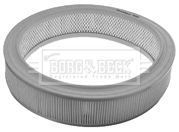 Air Filter (BFA2093)