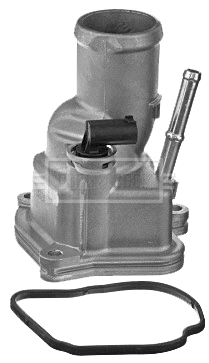 Thermostat, coolant (BBT230)