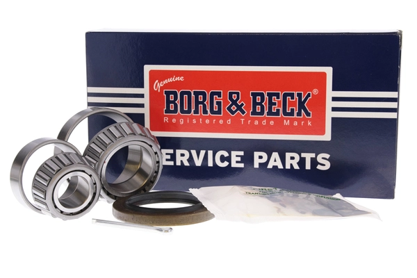 Wheel Bearing Kit (BWK695)