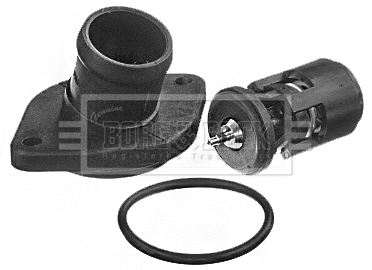 Thermostat, coolant (BBT395)