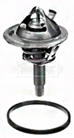 Thermostat, coolant (BBT137)
