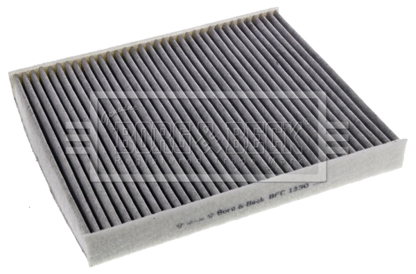 Filter, cabin air (BFC1330)