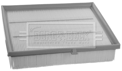 Air Filter (BFA2447)