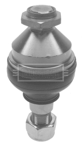 Ball Joint (BBJ5199)