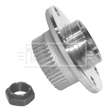 Wheel Bearing Kit (BWK854)