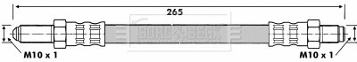 Brake Hose (BBH6163)