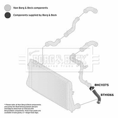 Charge Air Hose (BTH1066)