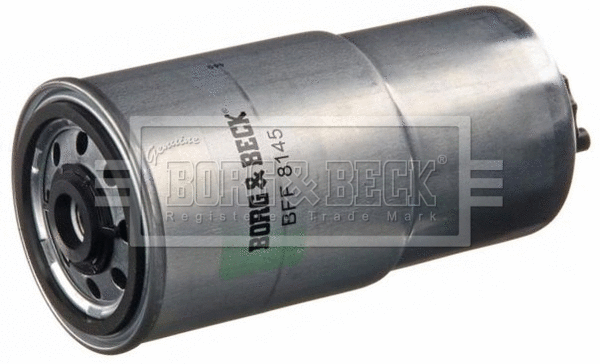 Fuel Filter (BFF8145)