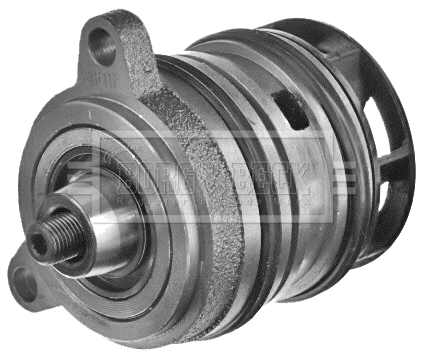Water Pump, engine cooling (BWP2136)
