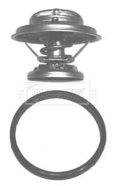 Thermostat, coolant (BBT055)