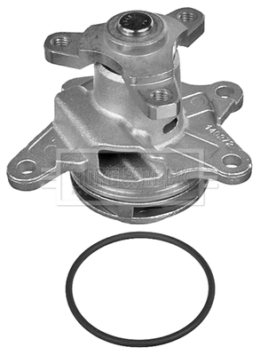 Water Pump, engine cooling (BWP2308)