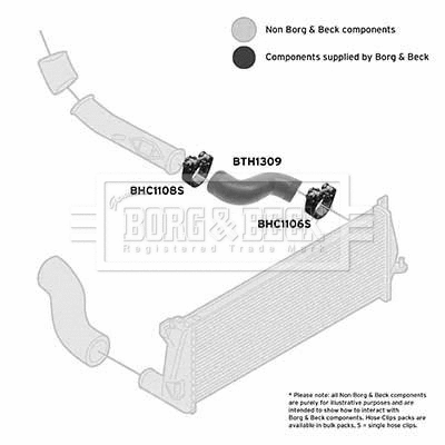 Charge Air Hose (BTH1309)