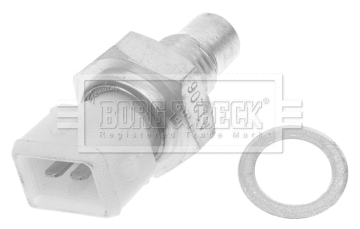 Sensor, coolant temperature (BTS3008)