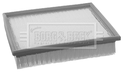 Air Filter (BFA2196)