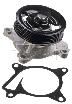 Water Pump, engine cooling (BWP2486)