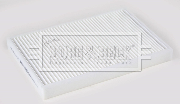 Filter, cabin air (BFC1005)