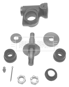 Repair Kit, wheel suspension (BSK5903)