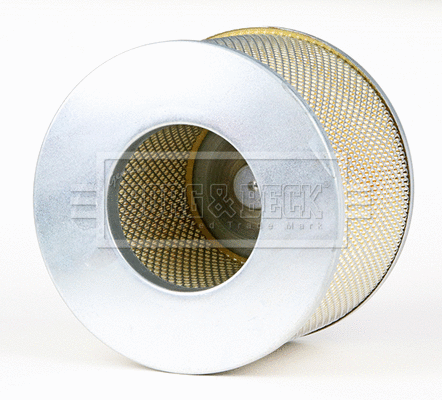 Air Filter (BFA2404)