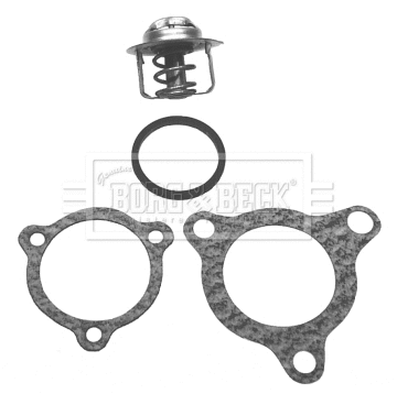 Thermostat, coolant (BBT049)