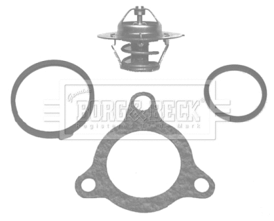 Thermostat, coolant (BBT016)